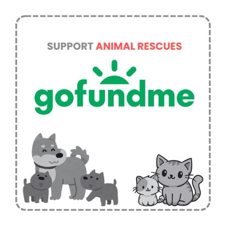 SYP- Support Animal Rescues